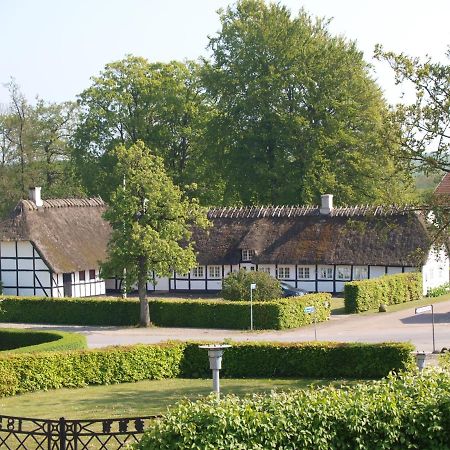 Baekgaarden B&B Lyndelse Exteriér fotografie