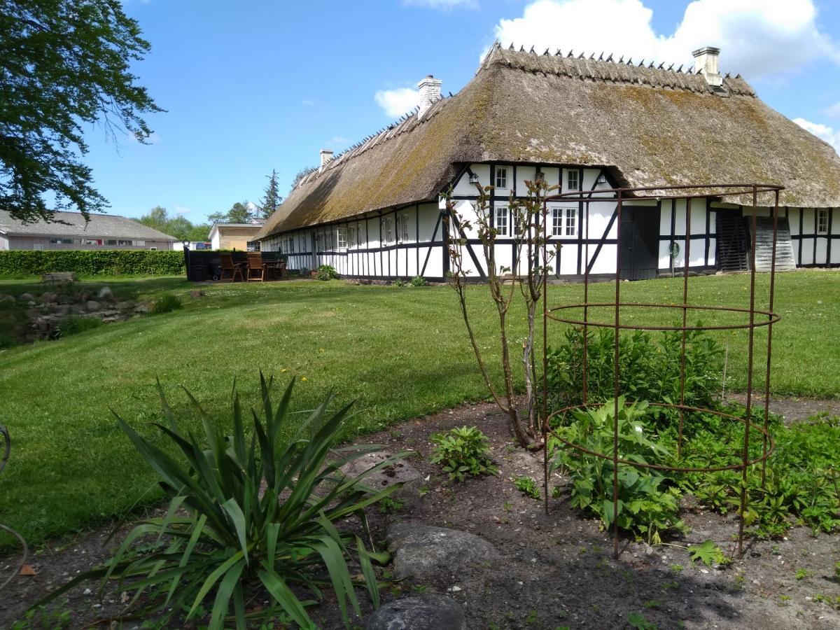 Baekgaarden B&B Lyndelse Exteriér fotografie